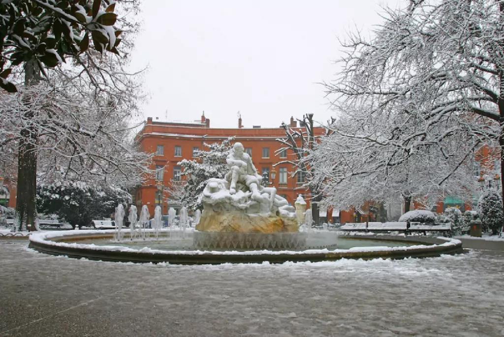 Le Clos Des Violettes Toulouse Exteriör bild